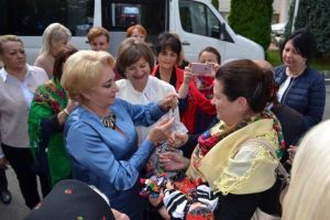Nominalizarea Vioricăi Dăncilă pentru funcţia de premier, privită pozitiv de PSD Satu Mare. ,,Un profesionist în politică”