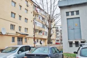 Carmen Dan şi Viorica Dăncilă, două VECINE DE BLOC în GUVERN. EVZ a descoperit unde stau LIDERELE PSD