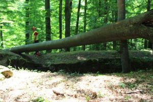 Sarmizegetusa Regia nu va putea fi vizitată 30 de zile