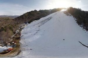 Proiectul Moliviş moare, dar nu se predă…