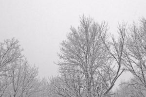 Meteorologii au făcut ANUNȚUL! Ce TEMPERATURI ne aşteaptă în următoarele zile. Vreme la extreme în ţara noastră! Nu ignoraţi! 