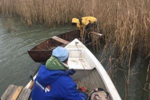 Camere de supraveghere cu transmisie pe Internet, pe lacurile Bacău şi Galbeni