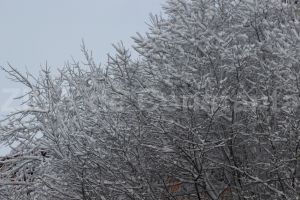 Cod portocaliu de ninsoare in judetul Tulcea. Mai multe localitati au ramas fara energie electrica