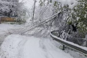 INFO TRAFIC -DN11C între localităţile Bixad şi Turia închis circulaţiei rutiere