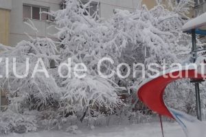 Cursurile au fost suspendate in cinci localitati din judetul Constanta. Masura luata din cauza conditiilor meteo