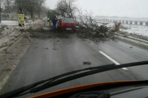 Accident rutier pe DN22C la intrare in Medgidia. O masina a intrat intr-un copac. Traficul este blocat