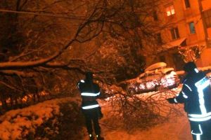 FOTO Copaci şi stâlpi căzuţi din cauza zăpezii la Sibiu, Răşinari şi Tilişca