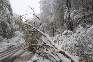 Drum închis în judeţul Harghita