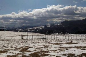 ULTIMĂ ORĂ: 1.700 de case fără curent electric, din cauza viscolului