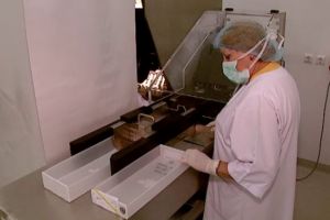 O nouă epidemie loveşte România. S-a înregistrat deja primul deces