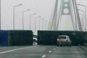 VISCOLUL FACE RAVAGII ÎN DOBROGEA
 
