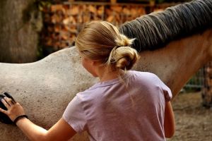 Premiera: cursuri pentru ingrijitori de cai la o scoala profesionala din Harghita