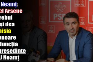 PNL Neamţ: Ionel Arsene ar trebui să îşi dea demisia de onoare din funcţia de preşedinte al CJ Neamţ