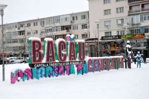 Intervenţia din judeţul Bacău. Situaţia de la ora 18.00