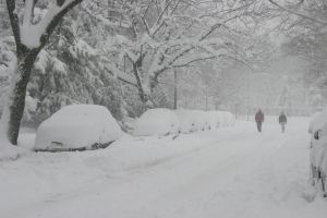 AVERTIZARE meteo COD GALBEN de VÂNT PUTERNIC şi NINSORI în 12 judeţe. Harta zonelor afectate