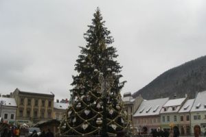 Bradul de Crăciun din Piaţa Sfatului, transformat în mese şi băncuţe pentru picnic