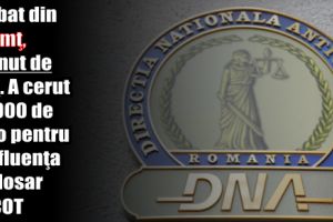 Bărbat din judeţul Neamţ, reţinut de DNA. A cerut 30.000 de euro pentru a influenţa un dosar DIICOT