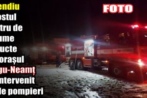 Incendiu la fostul Centru de legume şi fructe din oraşul Târgu-Neamţ. Au intervenit 25 de pompieri