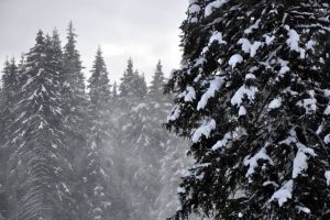 Viscol puternic în Munţii Șureanu, în noaptea de joi spre vineri: Schimbarea bruscă a vremii a înrăutăţit condiţiile de acces şi de schi