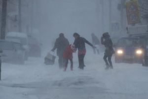 Mincinoşii ăştia anunţau iarna dramatică încă din… septembrie!