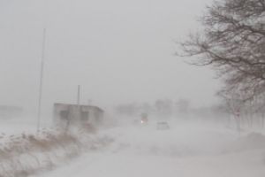 E HAOS TOTAL în România! Viscolul a făcut PRĂPĂD: Maşini blocate, localităţi izolate şi mii de poliţişti în luptă cu nămeţii