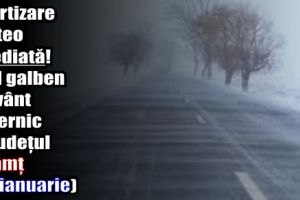 Avertizare meteo imediată! Cod galben de vânt puternic în judeţul Neamţ (19 ianuarie)
