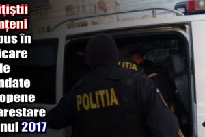 Poliţiştii nemţeni au pus în aplicare 24 de mandate europene de arestare în anul 2017