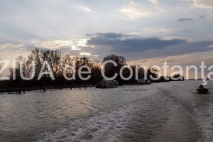 Astrocafe.ro: Calitatea vietii