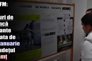 AJOFM: 379 locuri de muncă vacante la data de 20 ianuarie 2017 în judeţul Neamţ