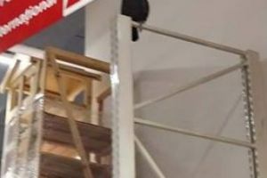 ”Vizitator” surpriză la Auchan din Iulius Mall Cluj. O pasăre zboară liberă prin hypermarket FOTO