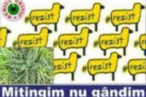 #Reizstenti, nu va bazati pe ploiesteni la marele miting. Iata si de ce