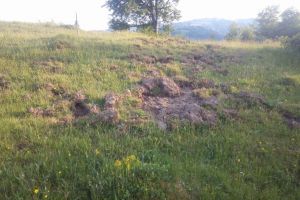 Finanţare europeană pentru comasarea terenurilor fărâmiţate din România