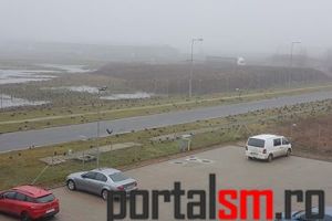 FOTO. Ciorile din Grădina Romei au invadat în Parcul Industrial Sud