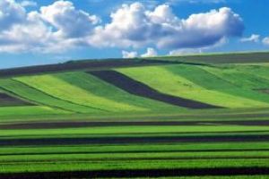 Tudorel Andrei (INS): Romania detine 33% din numarul total de exploatatii agricole la nivelul UE