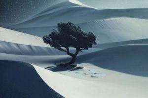 CELE MAI FRUMOASE 11 POZE din lume? Când arta, creativitatea şi spontaneitatea se întâlnesc, APARE SUPERLATIVUL. Galerie foto