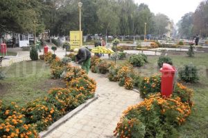 Primaria demareaza reamenajarea spatiilor verzi din municipiul Constanta