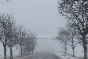 Meteo: Cod galben de vreme rea in Dobrogea. Lapovita, ninsori si intensificari ale vantului.   