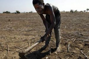 Preşedintele din Malawi le cere membrilor cabinetului să oficieze 