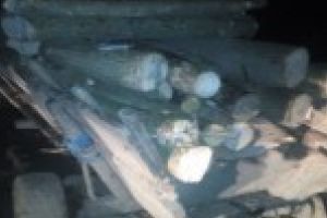 Trei barbati au fost prinsi cand transportau cateva lemne de foc cu caruta