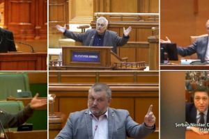 Cum a fost posibil?!…  CUM S-A AJUNS LA… PARLAMENTUL MAHALA?!…