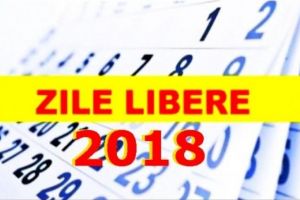 Miercuri, 24 ianuarie, ZI LIBERĂ de la Stat. Câte sărbători legale, nelucrătoare, vor mai avea românii în 2018