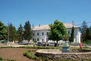 Oraşul Videle a dat trei miniştri şi un premier în guvernele post-decembriste