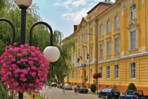 Elevele de la Colegiul Brediceanu au castigat finala judeteana a Olimpiadei Scolare la volei