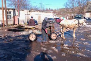 Politistii de frontiera constanteni au confiscat 400 de kilograme de material lemnos. Cum era transportata marfa