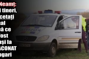 IPJ Neamţ: Trei tineri, cercetaţi penal după ce au fost prinşi la braconat cu ogari