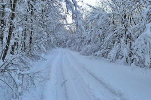 Ajutoare pentru a ramane in casa mai mult timp pe durata iernii