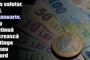 Curs valutar, luni, 22 ianuarie. Euro continuă să crească şi atinge un nou record