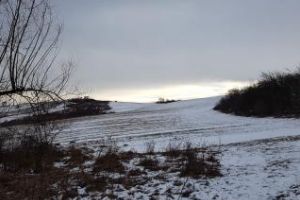 Braconierii îşi fac de cap în Borhanci: Au tras cu arma după noi - FOTO