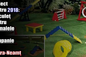 Proiect pentru 2018: Părculeţ pentru animalele de companie în Piatra-Neamţ