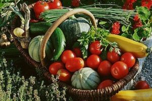 Producţia ecologică va avea reguli noi din 2021